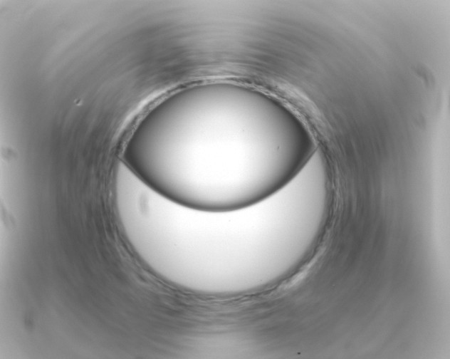 X0000091341457200708101011