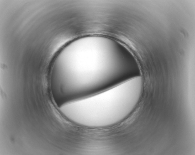 X0000091341458200708101011