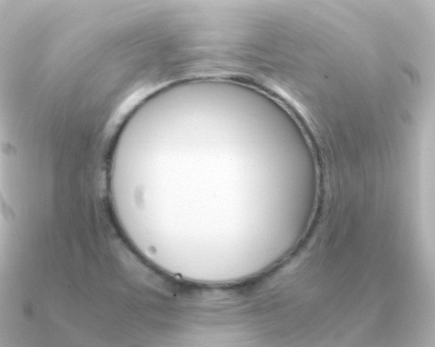 X0000091341459200708101011