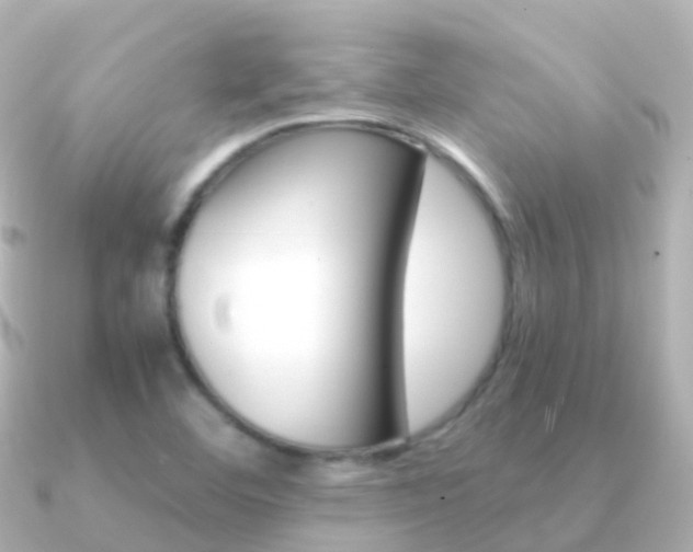 X0000091341460200708101011