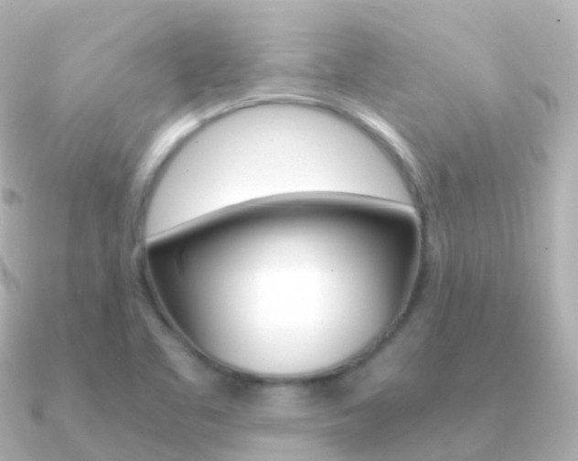X0000091341461200708101011