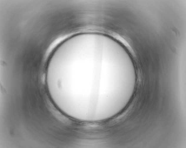 X0000091341462200708101011