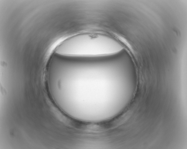 X0000091341463200708101011