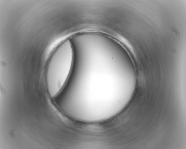 X0000091341464200708101011