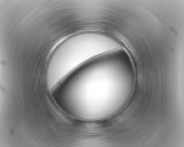 X0000091341465200708101011