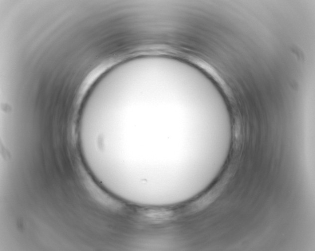 X0000091341466200708101011