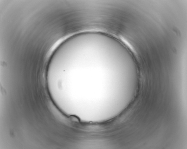 X0000091341468200708101011