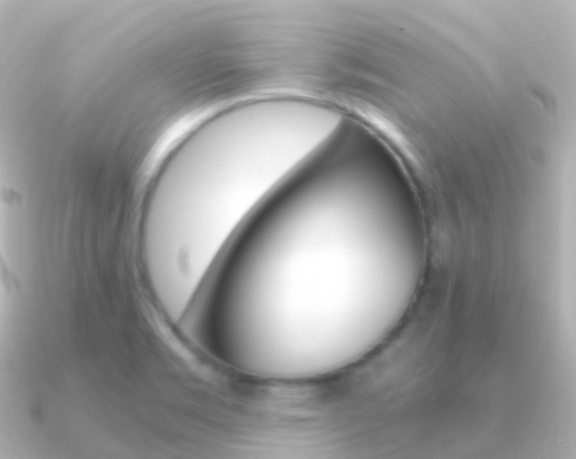 X0000091341469200708101011
