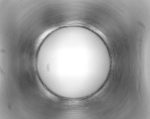 X0000091341470200708101011