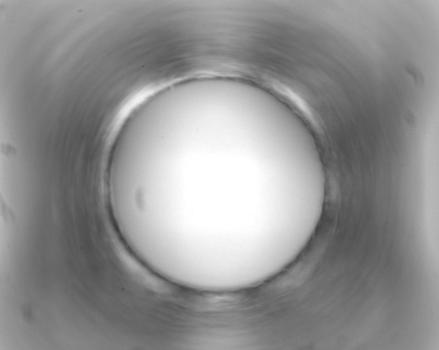 X0000091341471200708101010