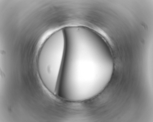X0000091341472200708101010
