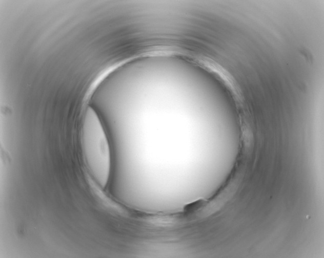 X0000091341473200708101010