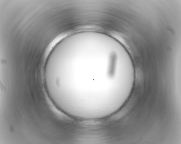 X0000091341474200708101010