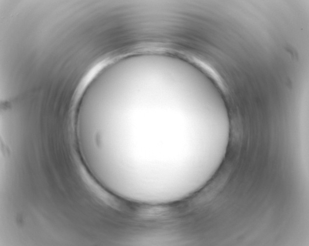 X0000091341475200708101010