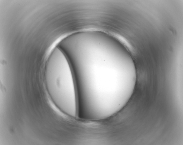 X0000091341476200708101010