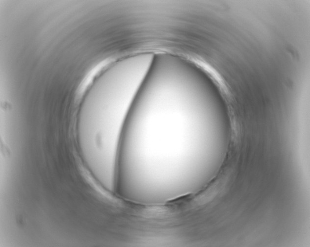X0000091341477200708101010