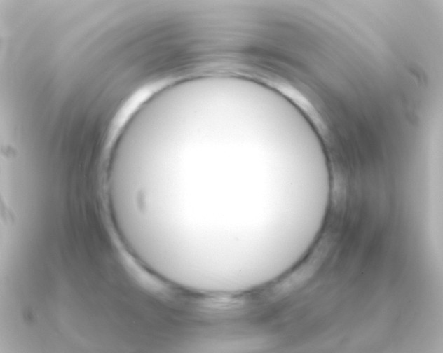 X0000091341478200708101010