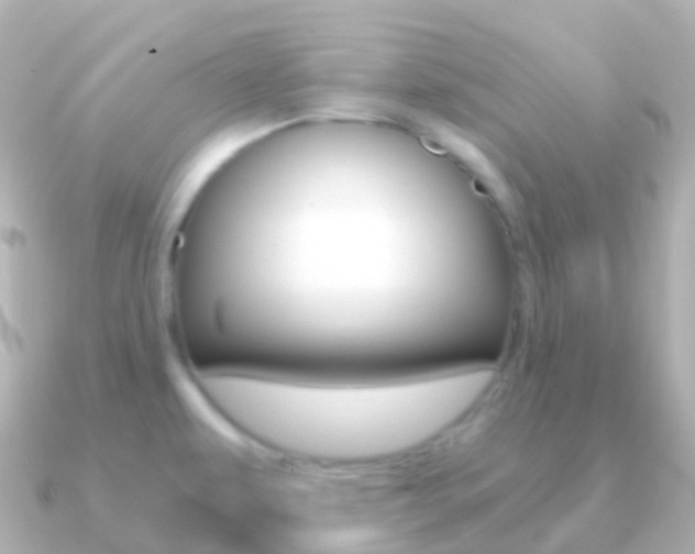 X0000091341479200708101010