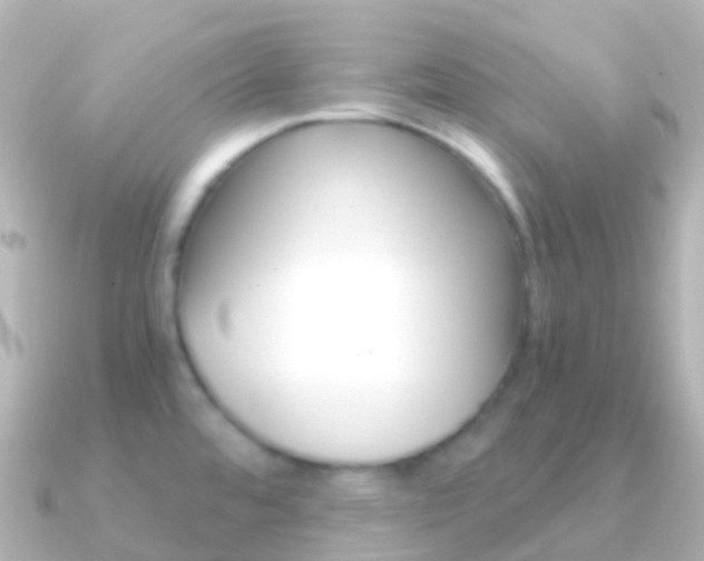 X0000091341480200708101010