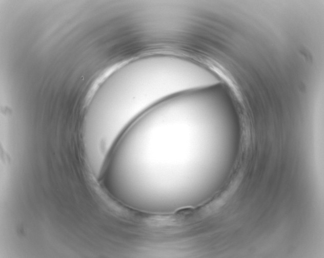 X0000091341481200708101010