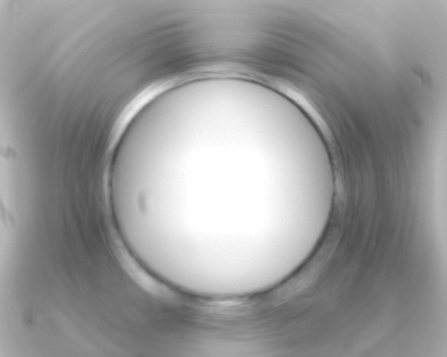 X0000091341482200708101010