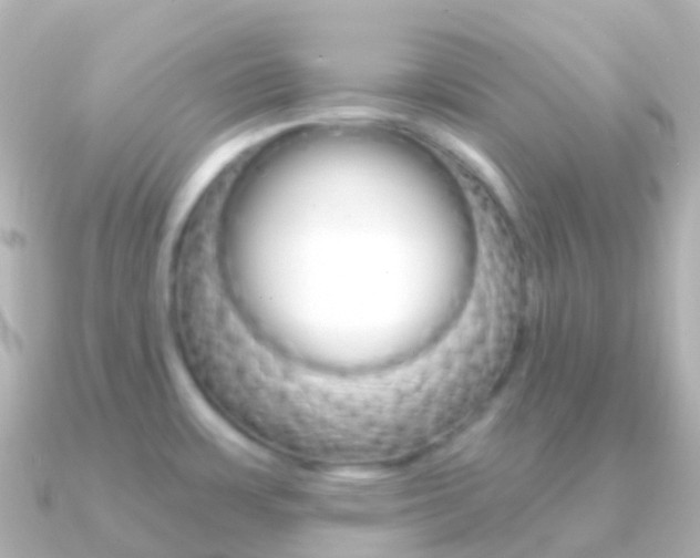 X0000091341483200708101010
