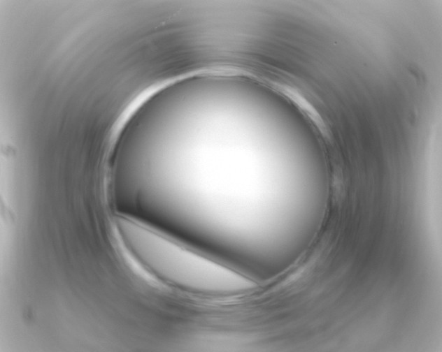 X0000091341484200708101010