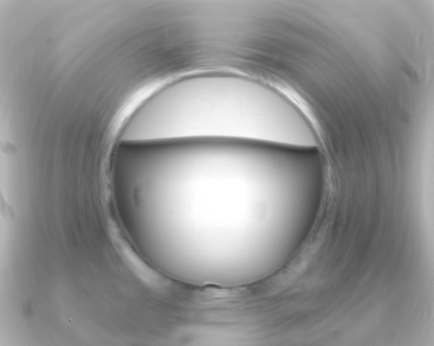 X0000091341485200708101010