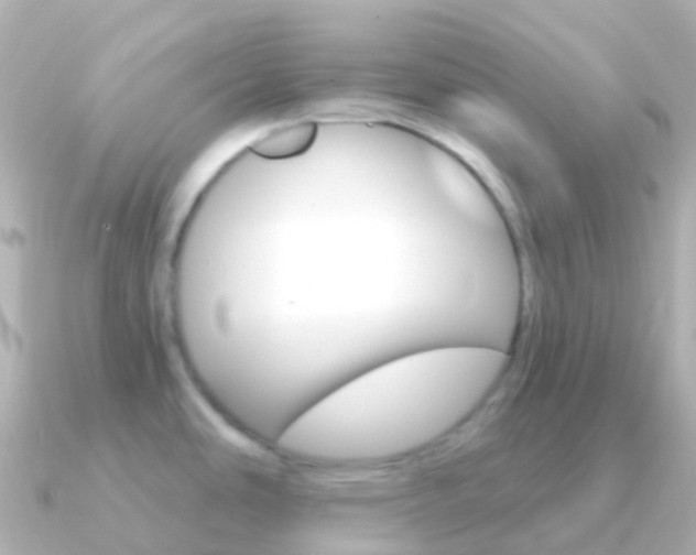 X0000091341486200708101010