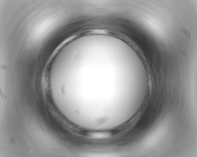 X0000091341487200708101010