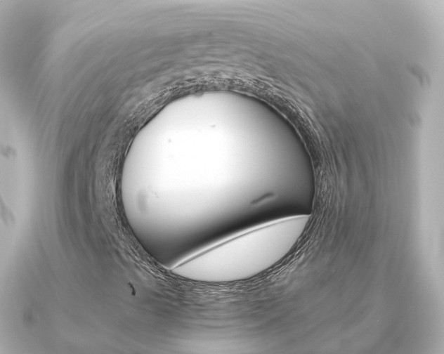 X0000091341489200708101010