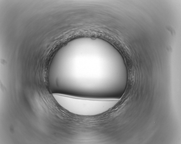 X0000091341490200708101010