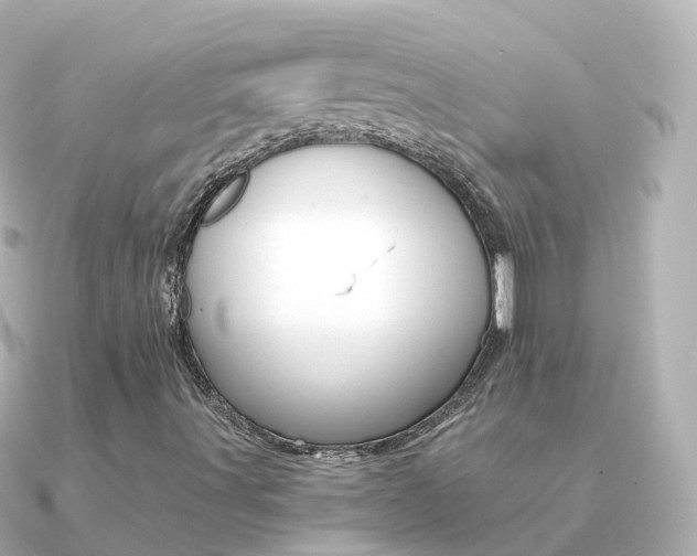 X0000091341491200708101010