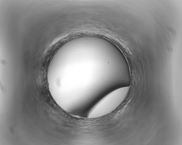 X0000091341494200708101010