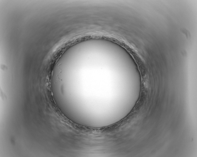 X0000091341495200708101010