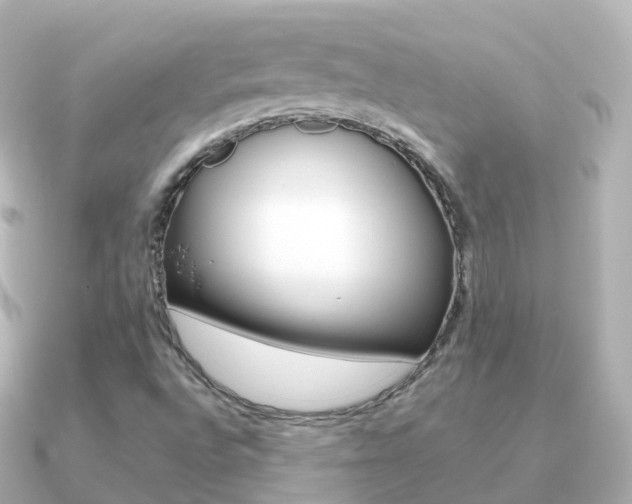 X0000091341496200708101010