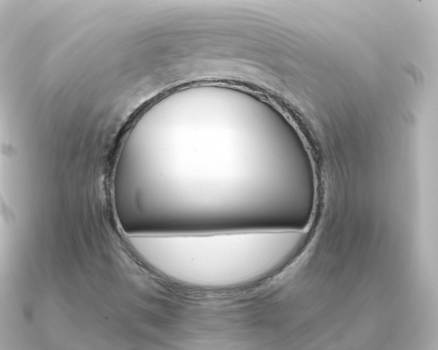 X0000091341497200708101010