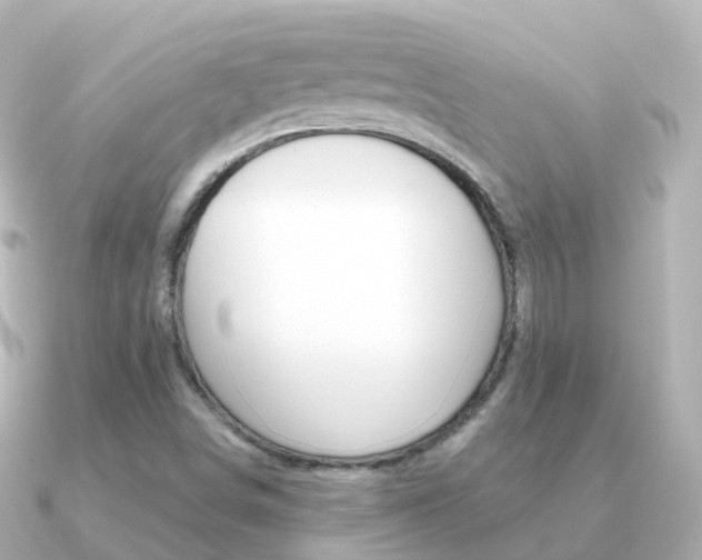 X0000091341498200708101010