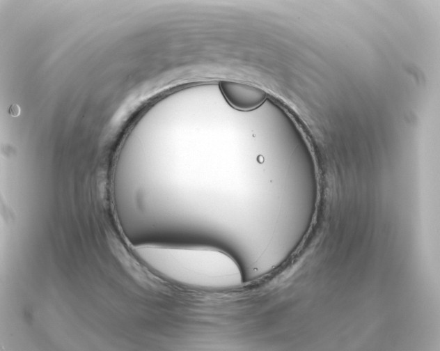 X0000091341499200708101010