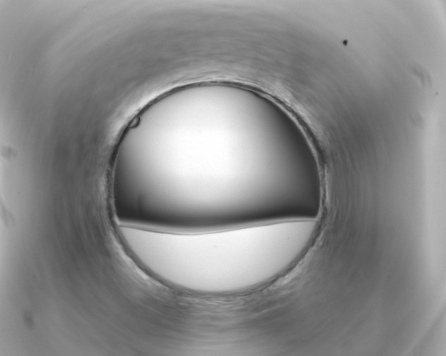 X0000091341500200708101010