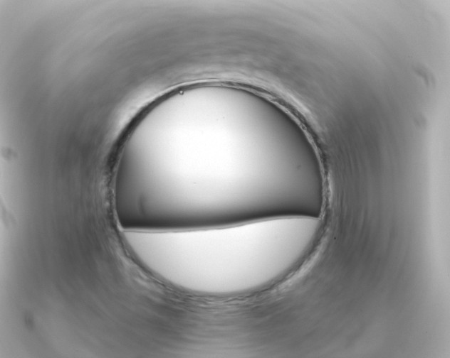 X0000091341501200708101010