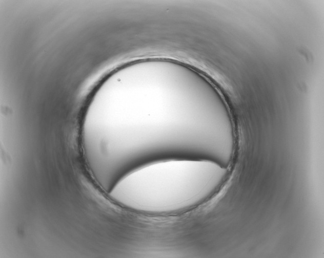X0000091341502200708101010