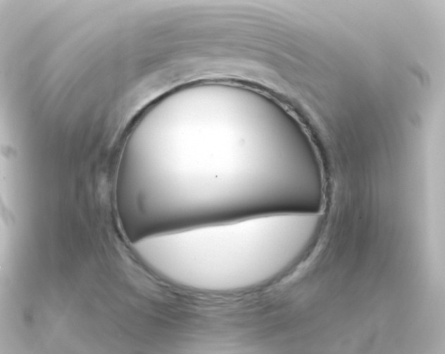 X0000091341505200708101010