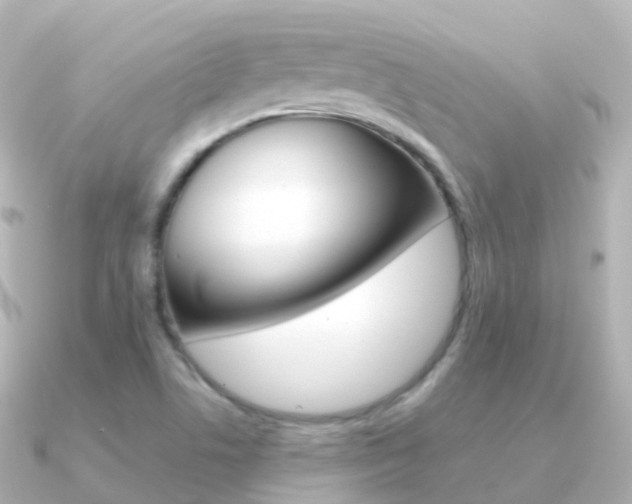 X0000091341506200708101010