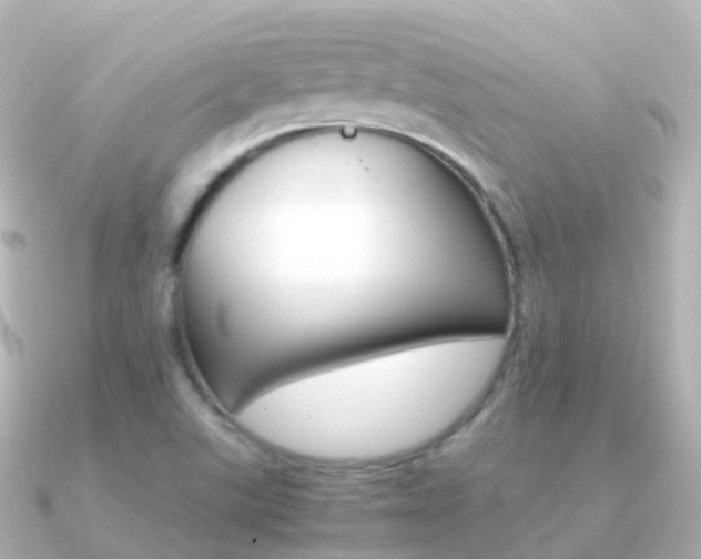 X0000091341507200708101010