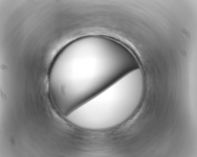 X0000091341509200708101010