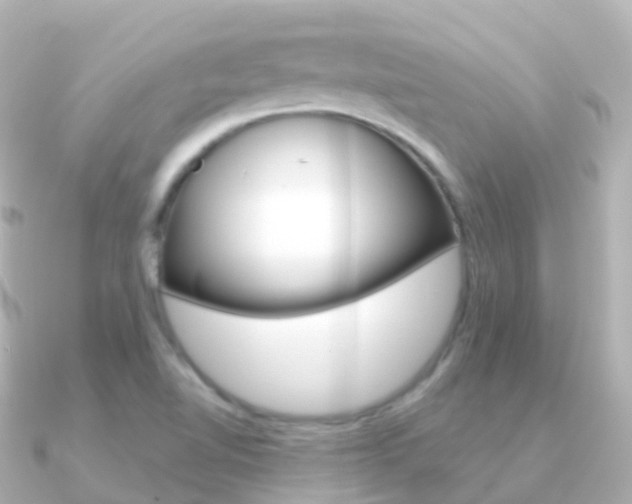 X0000091341510200708101010