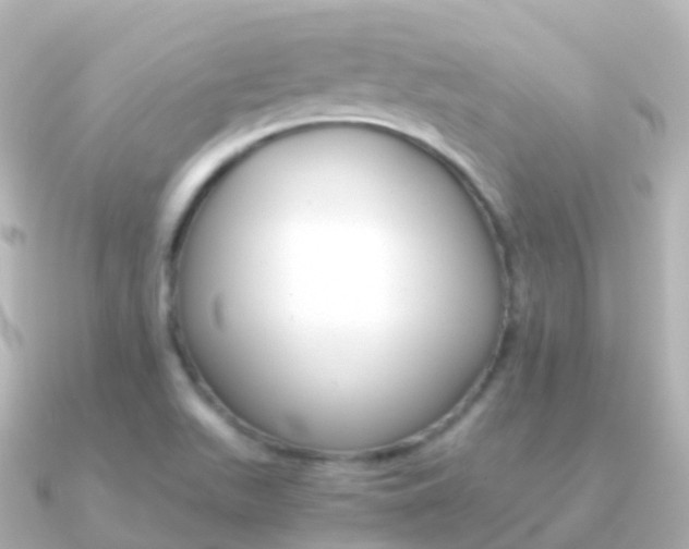 X0000091341511200708101010