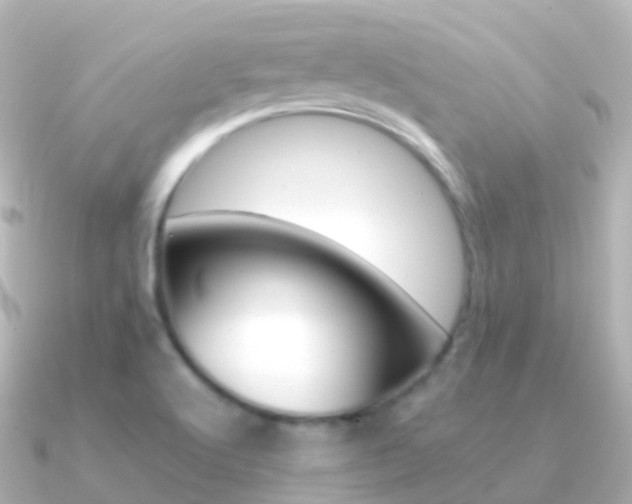 X0000091341512200708101010