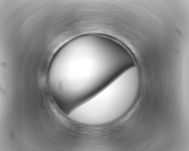 X0000091341513200708101010
